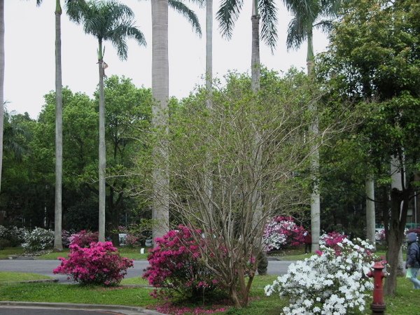 DSCN4135.jpg