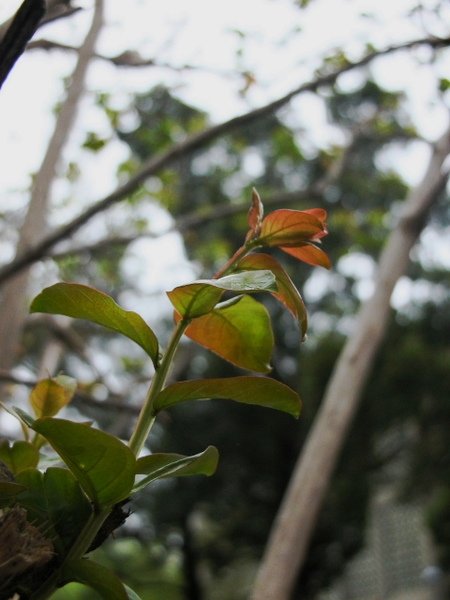 DSCN4138.jpg