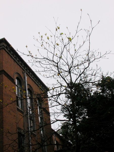 DSCN4146.jpg