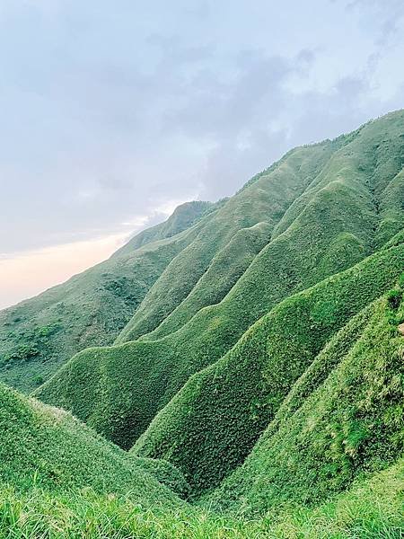 抹茶山