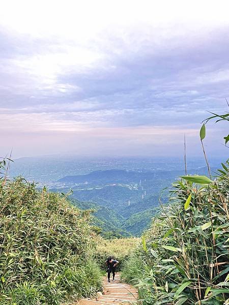 抹茶山