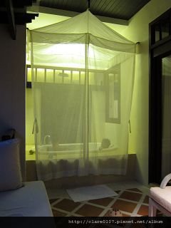 IMG_0178