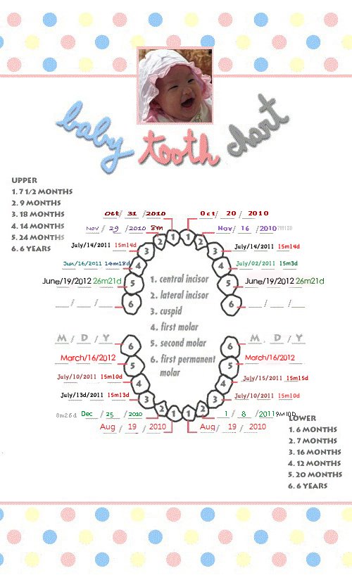 baby tooth chart2y