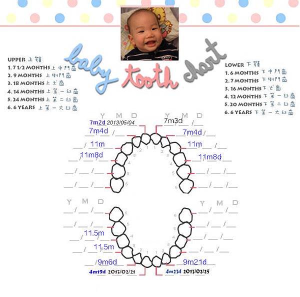 Liam tooth chart