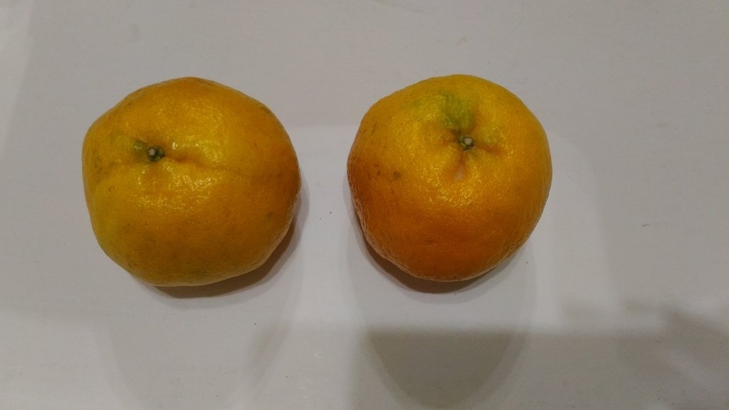 P_20211203_175628.jpg - 1101203-臺中好橘 25A八入禮盒(2KG) 包大山聯名款 友善環境及具產銷履歷之精品椪柑~