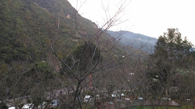 P_20201116_062603.jpg - 1091116-達谷蘭溫泉度假村第2天~