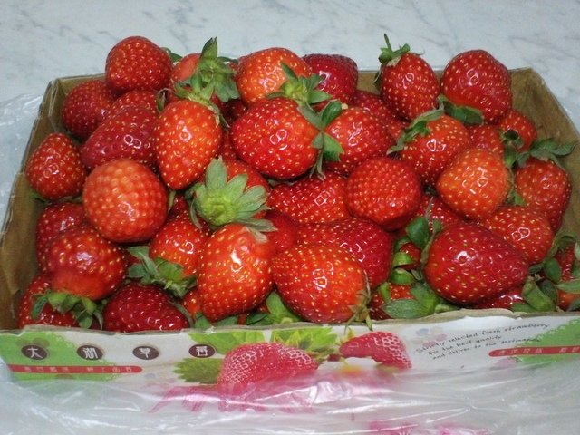 成品1.JPG - 1090227-蔥油餅+市場草莓~~
