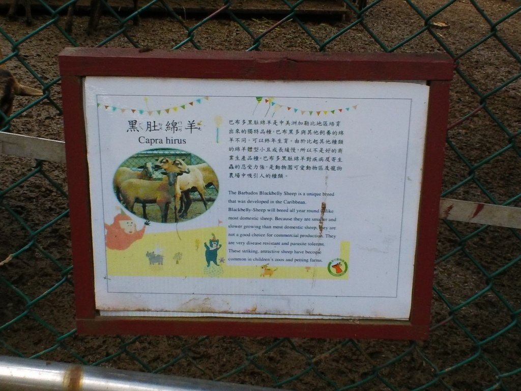 6.JPG - 1060423-新竹動物園一日遊+假日花市+春英水餃牛肉麵店午餐
