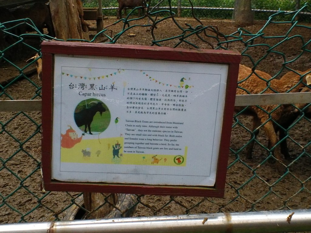 9.JPG - 1060423-新竹動物園一日遊+假日花市+春英水餃牛肉麵店午餐