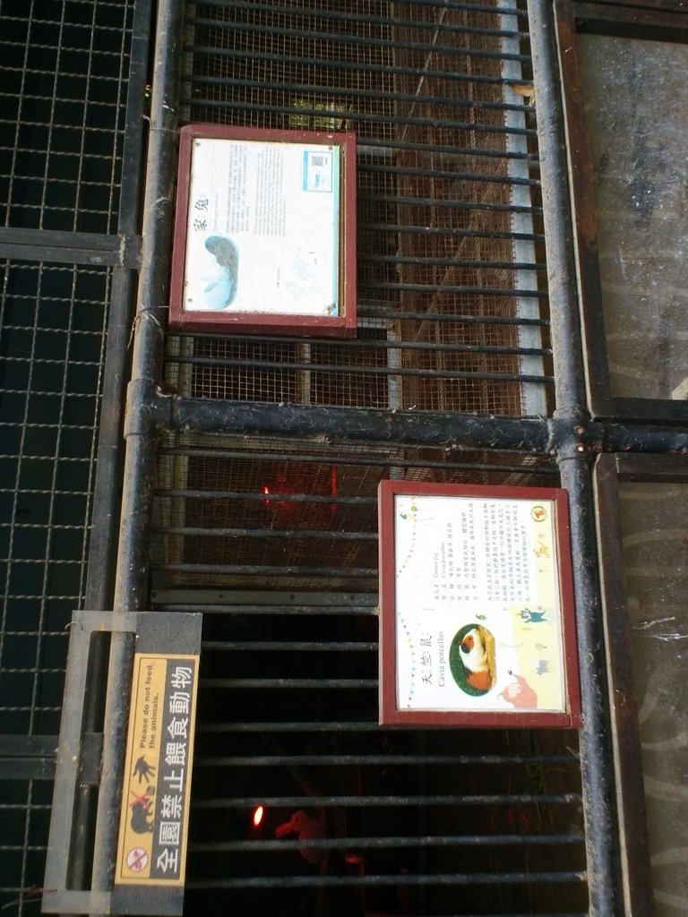 14.JPG - 1060423-新竹動物園一日遊+假日花市+春英水餃牛肉麵店午餐