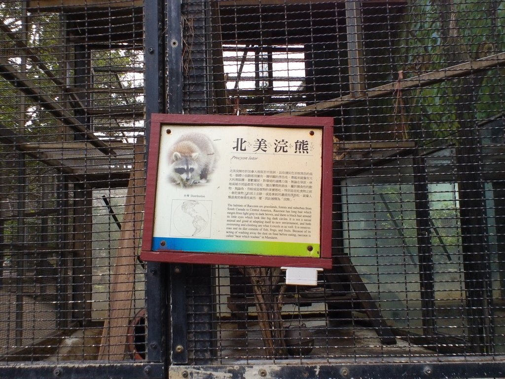 20.JPG - 1060423-新竹動物園一日遊+假日花市+春英水餃牛肉麵店午餐