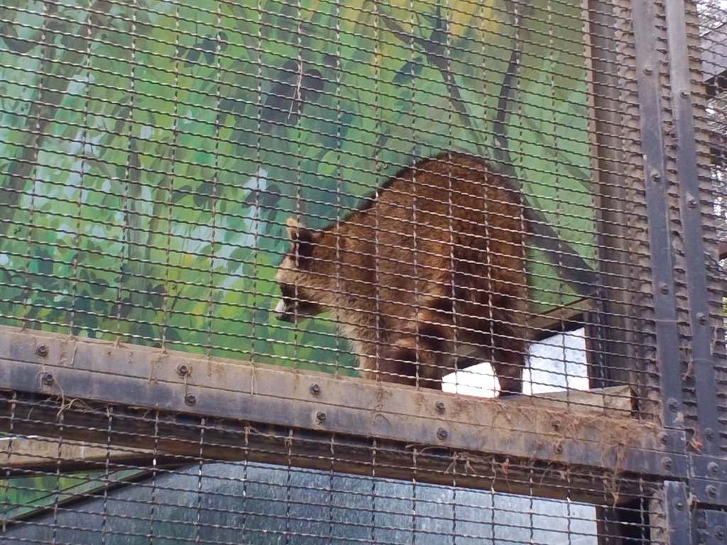 21.JPG - 1060423-新竹動物園一日遊+假日花市+春英水餃牛肉麵店午餐