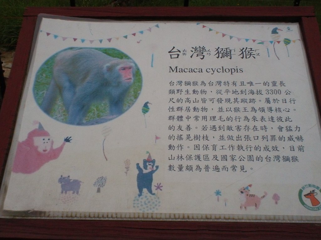 23.JPG - 1060423-新竹動物園一日遊+假日花市+春英水餃牛肉麵店午餐