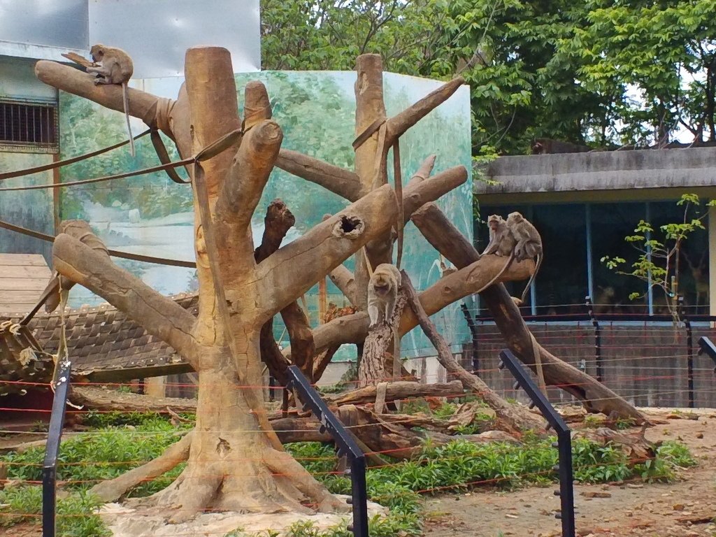 24.JPG - 1060423-新竹動物園一日遊+假日花市+春英水餃牛肉麵店午餐