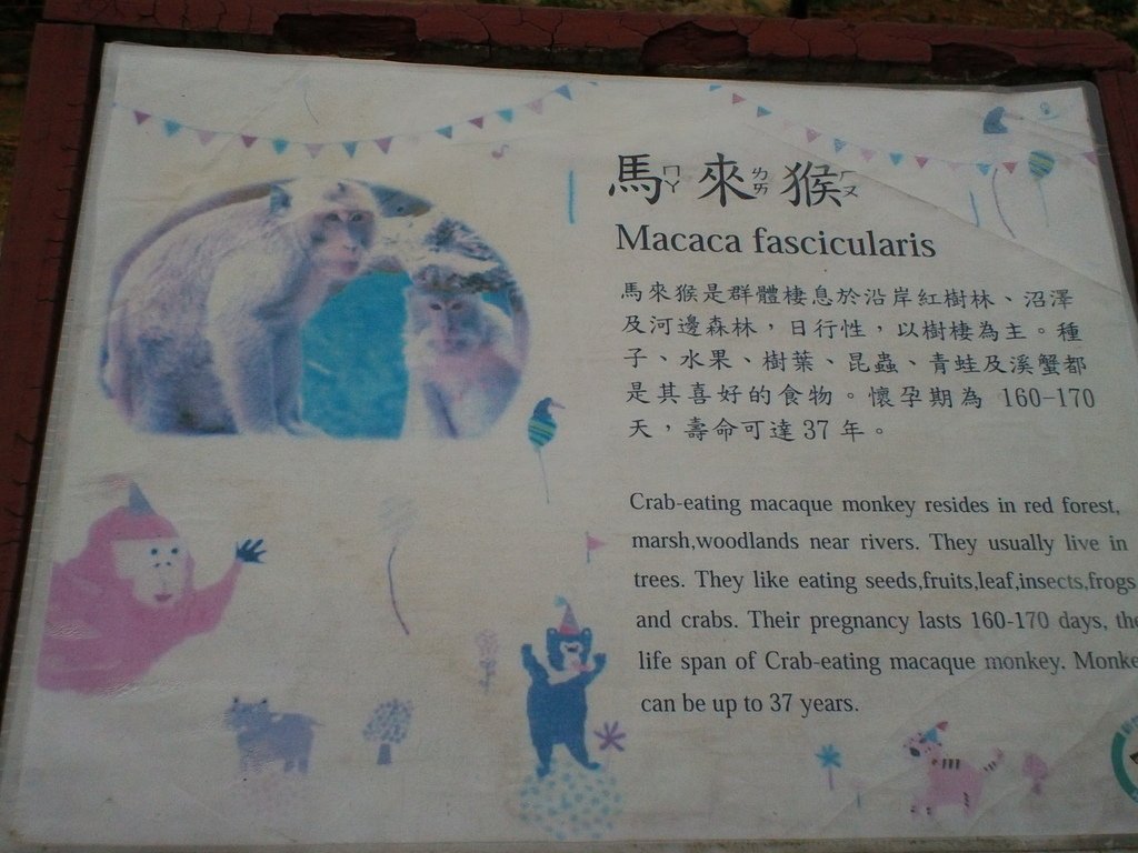 27.JPG - 1060423-新竹動物園一日遊+假日花市+春英水餃牛肉麵店午餐