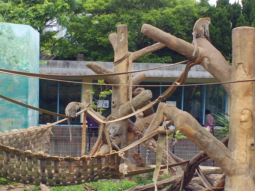 28.JPG - 1060423-新竹動物園一日遊+假日花市+春英水餃牛肉麵店午餐