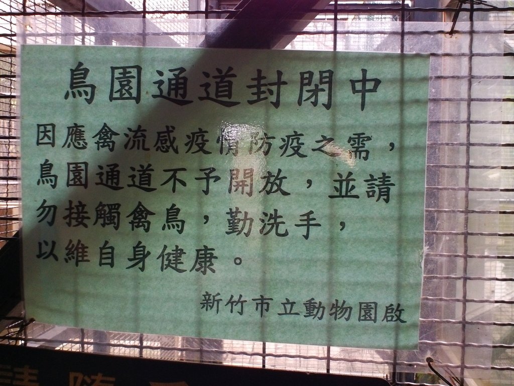 31.JPG - 1060423-新竹動物園一日遊+假日花市+春英水餃牛肉麵店午餐