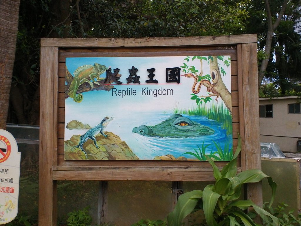 38.JPG - 1060423-新竹動物園一日遊+假日花市+春英水餃牛肉麵店午餐