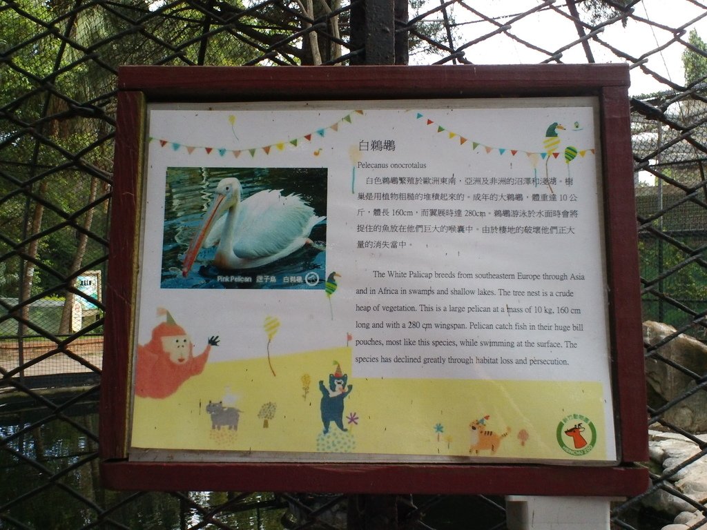 45.JPG - 1060423-新竹動物園一日遊+假日花市+春英水餃牛肉麵店午餐