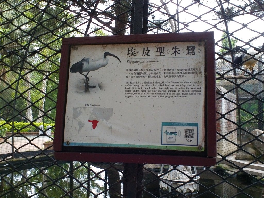 47.JPG - 1060423-新竹動物園一日遊+假日花市+春英水餃牛肉麵店午餐