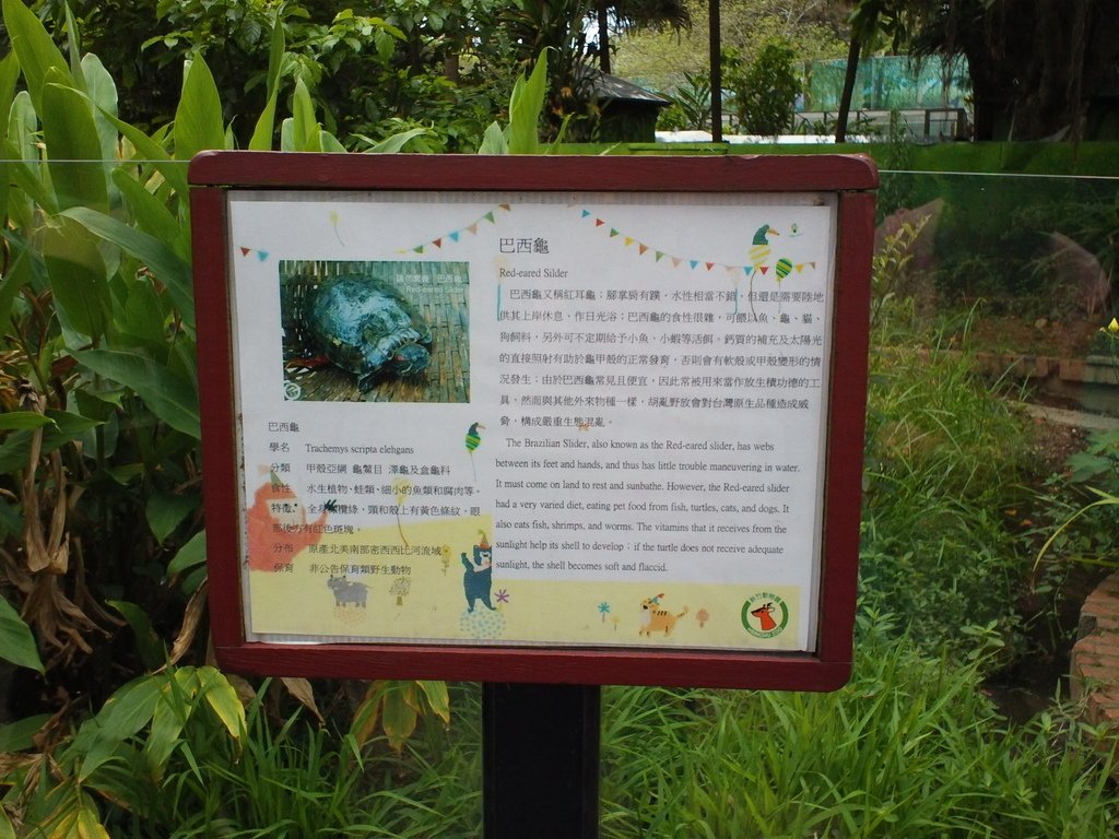54.JPG - 1060423-新竹動物園一日遊+假日花市+春英水餃牛肉麵店午餐