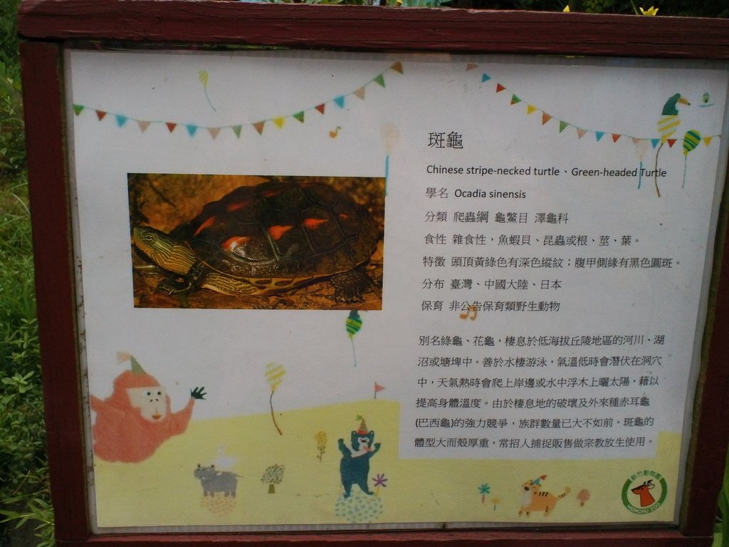 56.JPG - 1060423-新竹動物園一日遊+假日花市+春英水餃牛肉麵店午餐