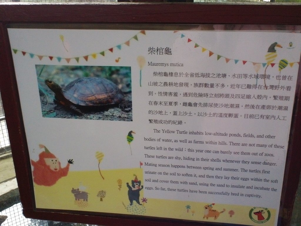 63.JPG - 1060423-新竹動物園一日遊+假日花市+春英水餃牛肉麵店午餐