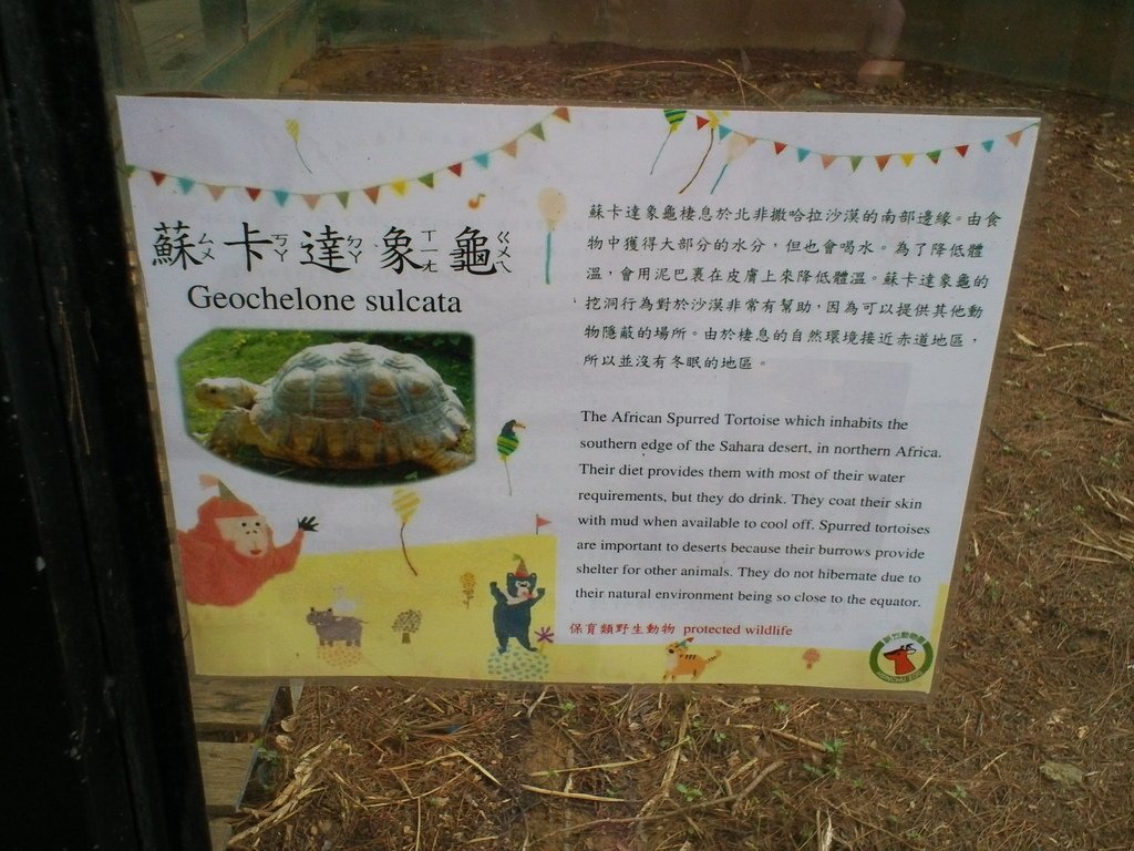 66.JPG - 1060423-新竹動物園一日遊+假日花市+春英水餃牛肉麵店午餐