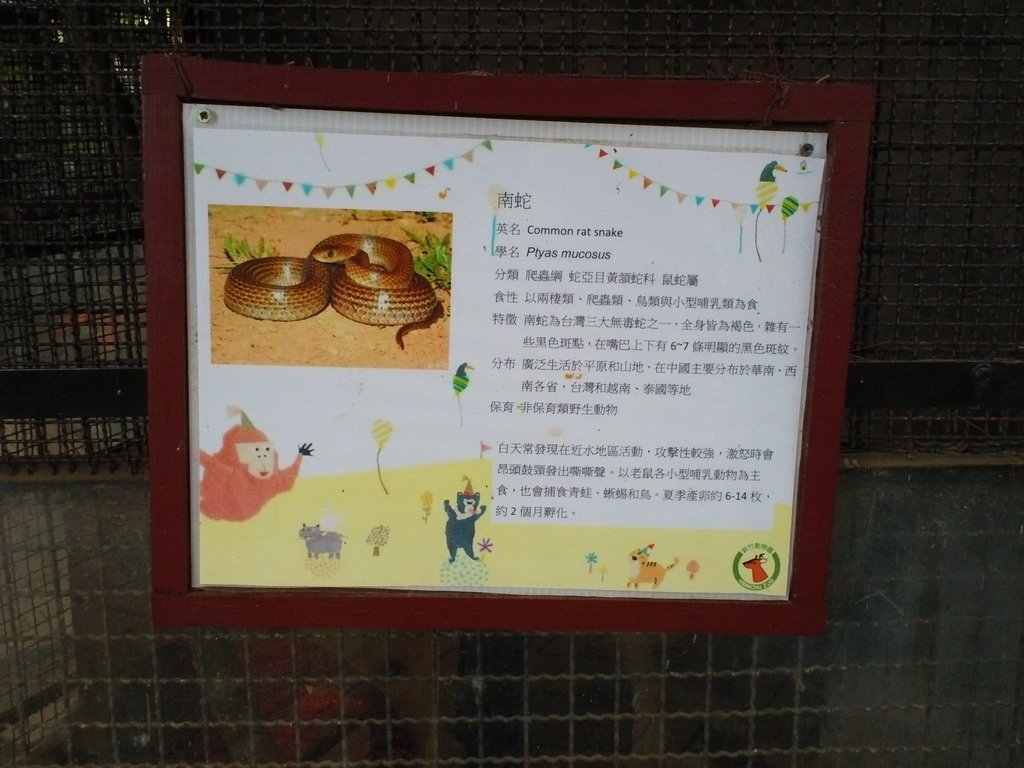 67.JPG - 1060423-新竹動物園一日遊+假日花市+春英水餃牛肉麵店午餐