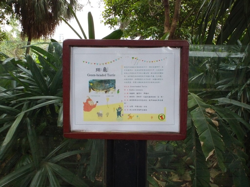 68.JPG - 1060423-新竹動物園一日遊+假日花市+春英水餃牛肉麵店午餐