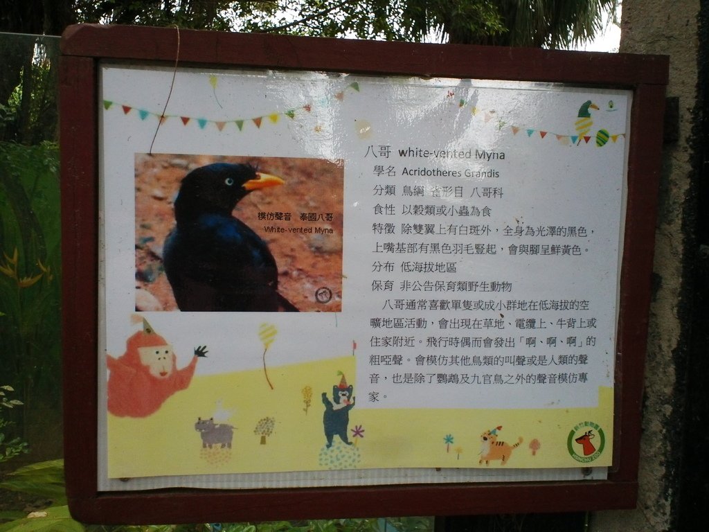 70.JPG - 1060423-新竹動物園一日遊+假日花市+春英水餃牛肉麵店午餐