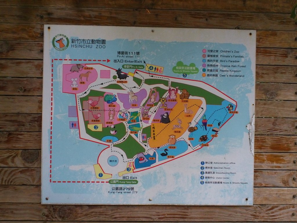 72.JPG - 1060423-新竹動物園一日遊+假日花市+春英水餃牛肉麵店午餐
