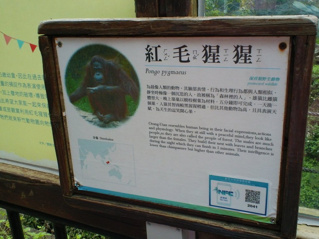 84.JPG - 1060423-新竹動物園一日遊+假日花市+春英水餃牛肉麵店午餐
