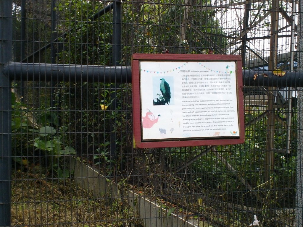 88.JPG - 1060423-新竹動物園一日遊+假日花市+春英水餃牛肉麵店午餐