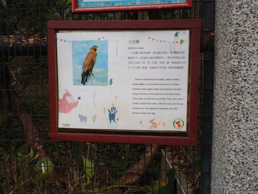 90.JPG - 1060423-新竹動物園一日遊+假日花市+春英水餃牛肉麵店午餐