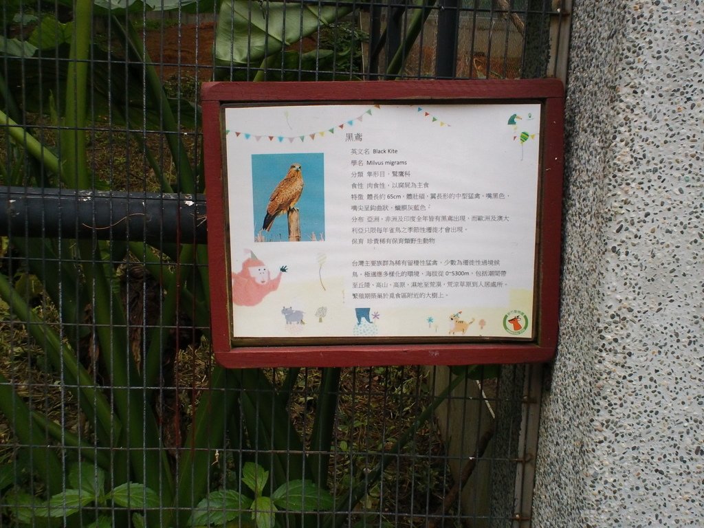92.JPG - 1060423-新竹動物園一日遊+假日花市+春英水餃牛肉麵店午餐