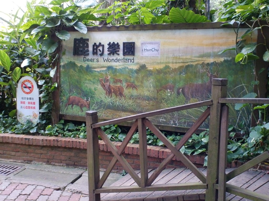 95.JPG - 1060423-新竹動物園一日遊+假日花市+春英水餃牛肉麵店午餐