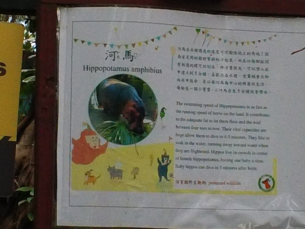 101.JPG - 1060423-新竹動物園一日遊+假日花市+春英水餃牛肉麵店午餐