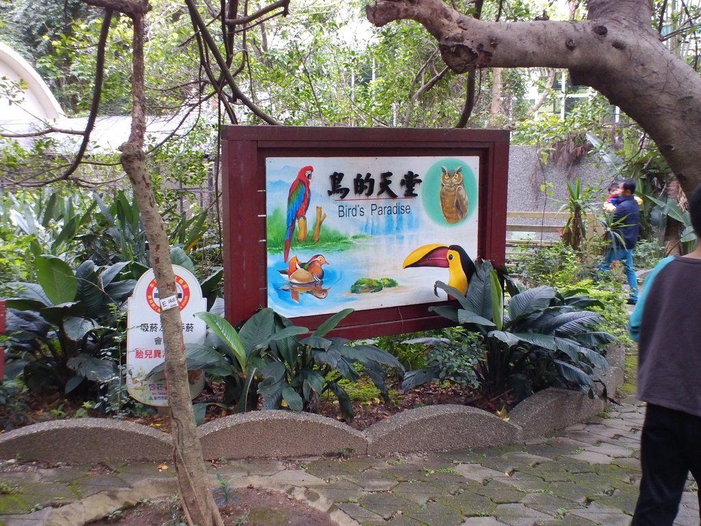 108.JPG - 1060423-新竹動物園一日遊+假日花市+春英水餃牛肉麵店午餐