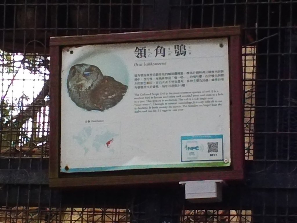 109.JPG - 1060423-新竹動物園一日遊+假日花市+春英水餃牛肉麵店午餐