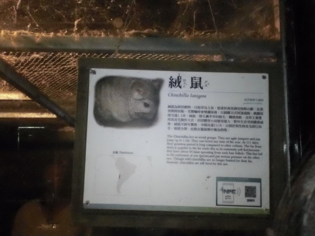115.JPG - 1060423-新竹動物園一日遊+假日花市+春英水餃牛肉麵店午餐