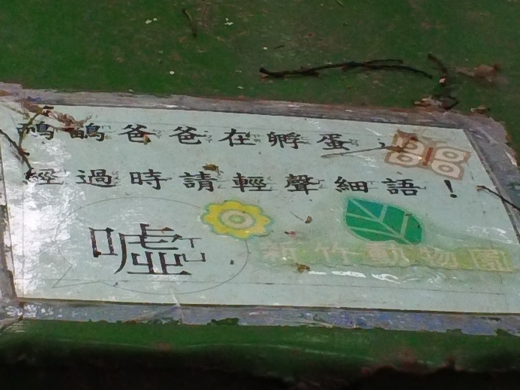 117.JPG - 1060423-新竹動物園一日遊+假日花市+春英水餃牛肉麵店午餐