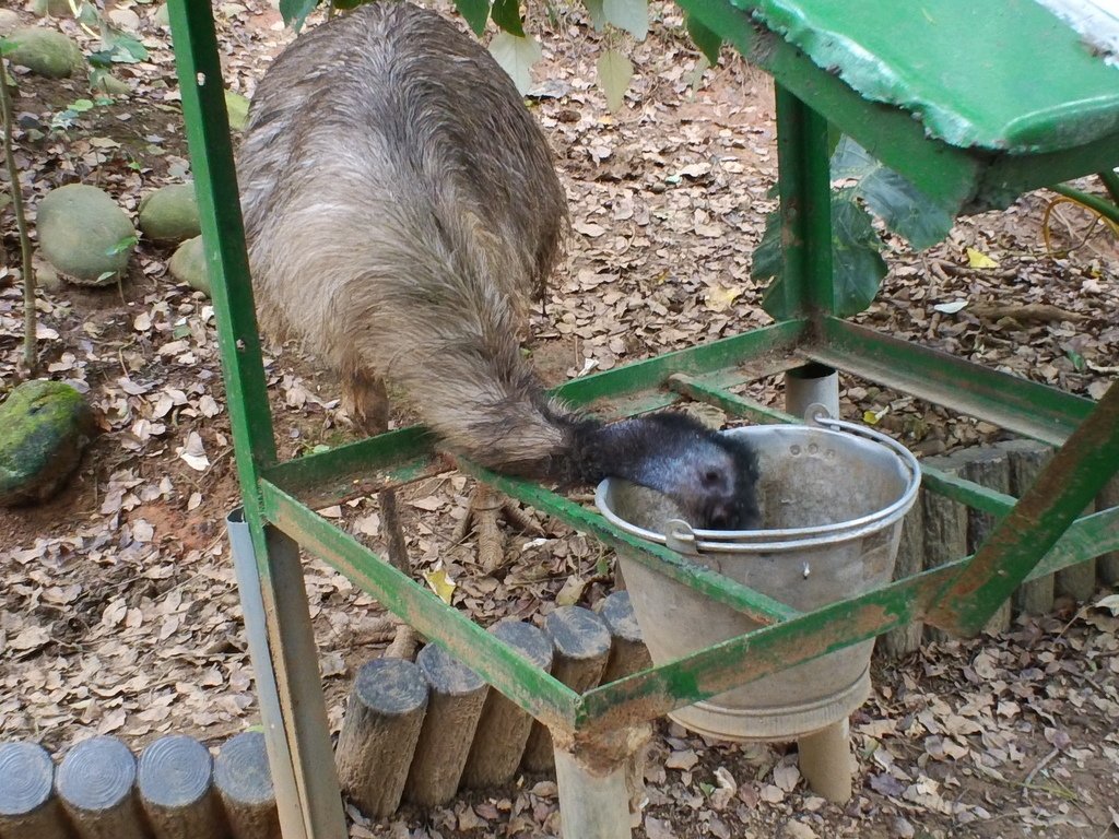 119.JPG - 1060423-新竹動物園一日遊+假日花市+春英水餃牛肉麵店午餐