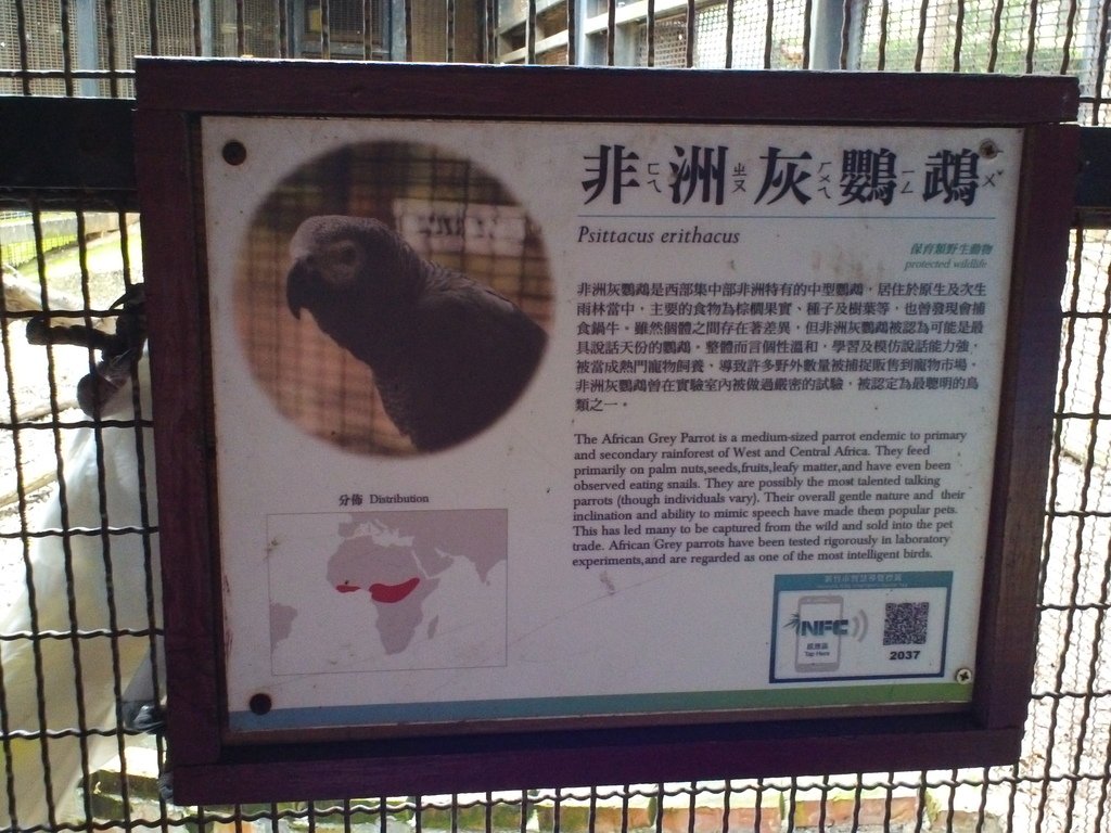 125.JPG - 1060423-新竹動物園一日遊+假日花市+春英水餃牛肉麵店午餐