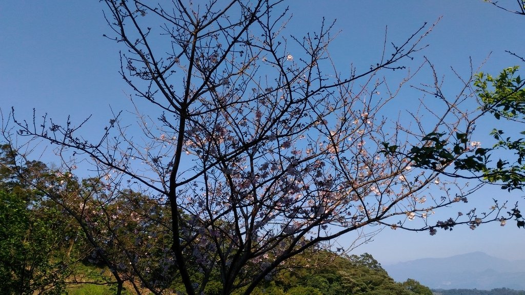 40.jpg - 1060402-竹東空笙庭長春店健康蔬食+飛鳳山步道
