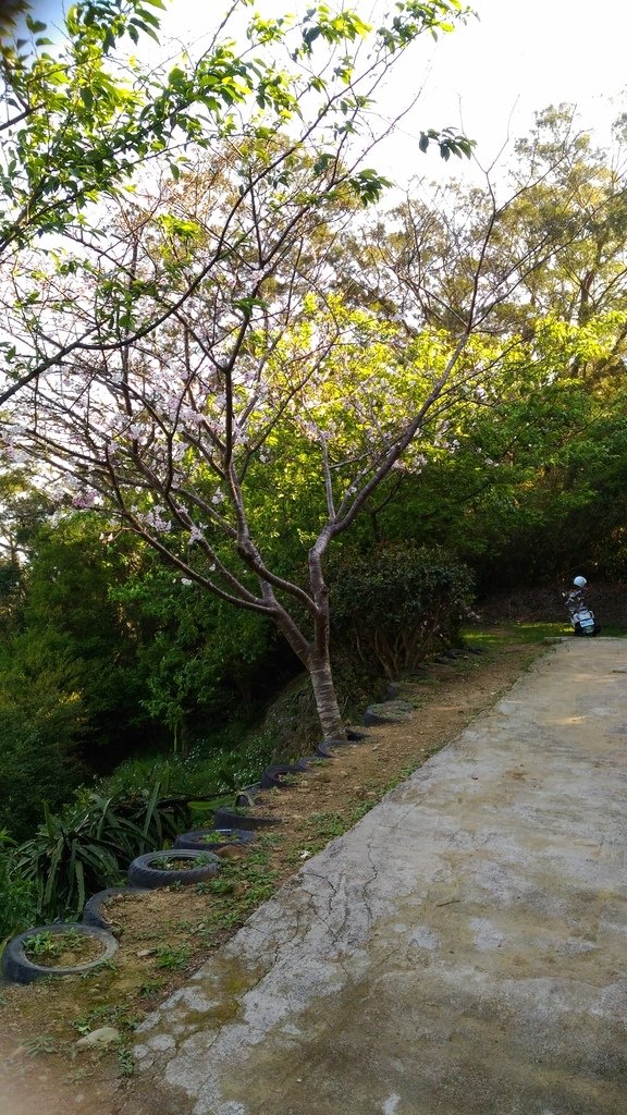 42.jpg - 1060402-竹東空笙庭長春店健康蔬食+飛鳳山步道