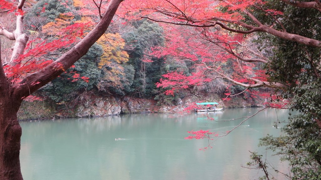 IMG_3310.JPG - 1041202-日本京都第一天