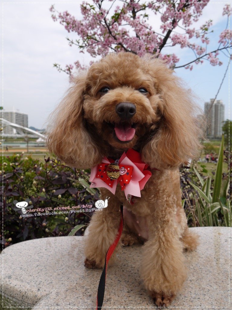 20140217-023.JPG