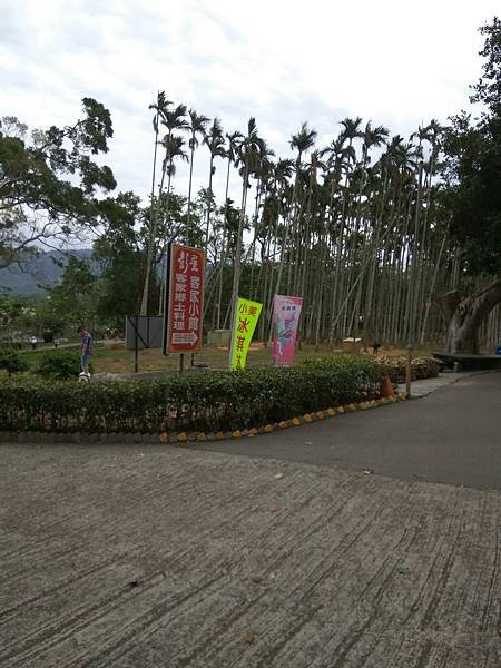 苗栗銅鑼杭州菊花市與馬家_856.jpg