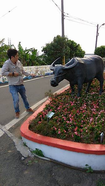 南寮漁港與蘆竹坑口彩繪村_8990.jpg